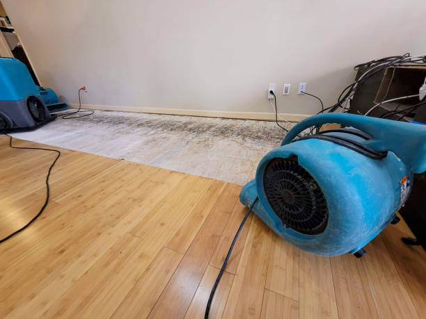 Professional Burst Pipe Water Damage technician working in Woodlake, CA